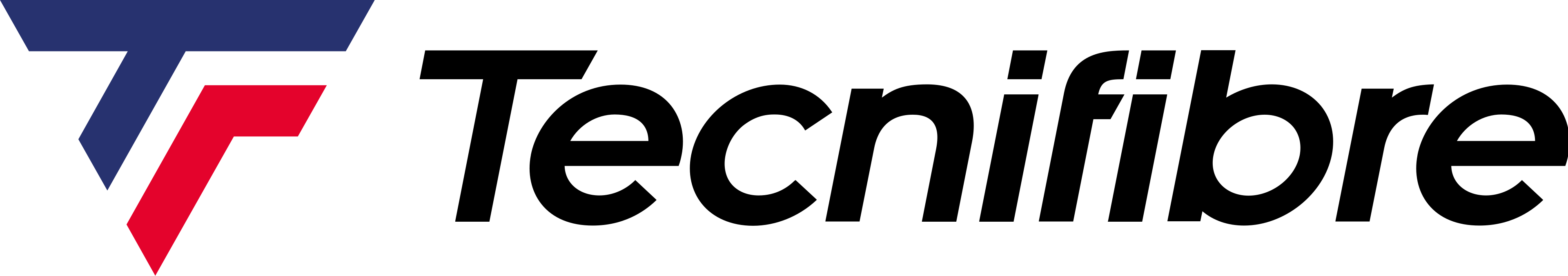 Tecnifibre logo